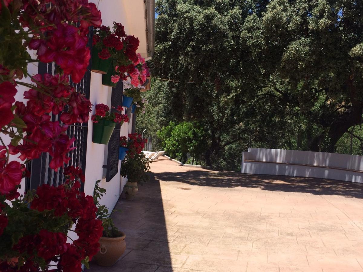 Villa La Quinta Priego de Córdoba Exterior foto