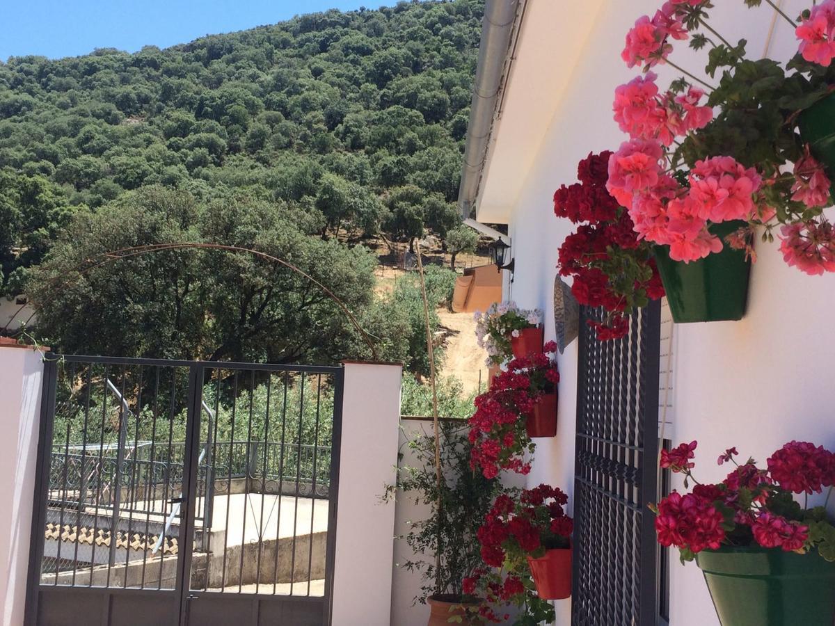 Villa La Quinta Priego de Córdoba Exterior foto