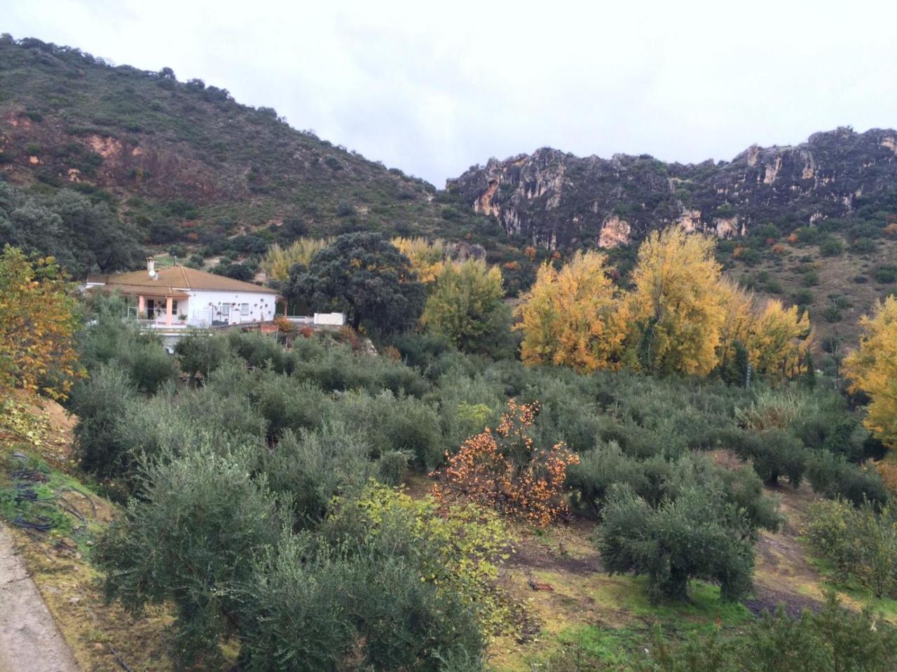 Villa La Quinta Priego de Córdoba Exterior foto